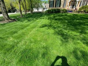 Janice S.'s lawn service service result