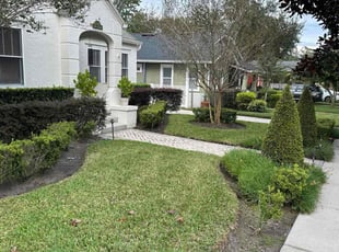 Terri C.'s grass cutting service result