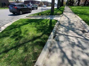 Micayla B.'s grass maintenance service result