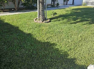 Jim M.'s lawn service service result