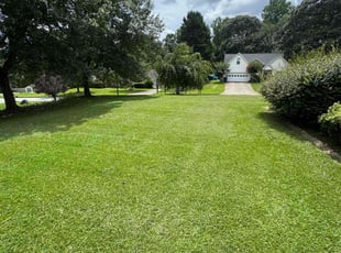 Matt F.'s lawn maintenance service result