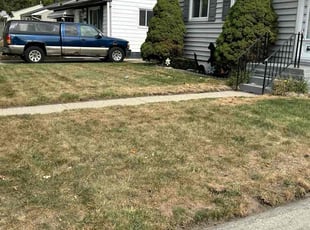 Alicia H.'s grass cutting service result