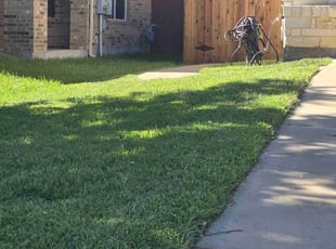 Ben K.'s grass maintenance service result