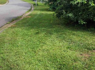Angella C.'s grass maintenance service result