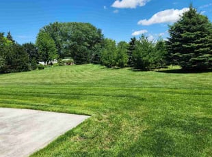 Stephen K.'s turf maintenance service result