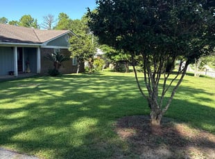 Joyce Z.'s lawn maintenance service result