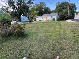 Norell P.'s lawn service service result