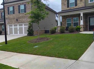 Christina P.'s lawn care services service result