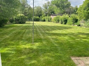 Ali L.'s grass maintenance service result