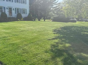Mr B.'s lawn service service result