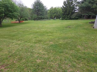 Gabriel A.'s turf care service result