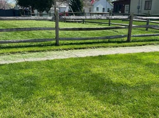 Brandon R.'s grass cutting service result