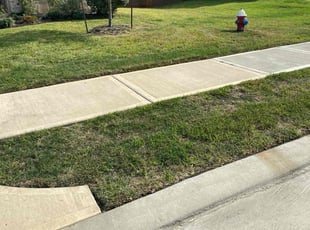 Neka G.'s lawn care service result