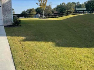 Lonnie B.'s lawn maintenance service result