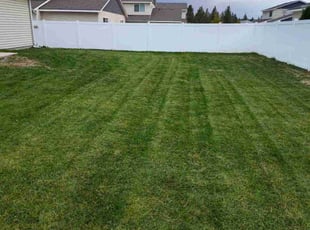 Niko V.'s lawn care services service result