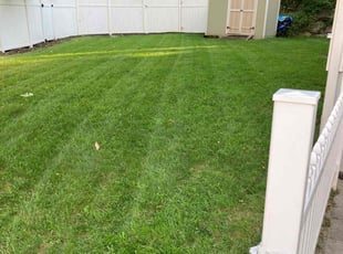 Aaron Z.'s grass maintenance service result
