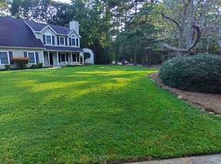 Natalie P.'s lawn service service result