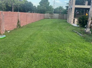 Sandy C.'s lawn service service result