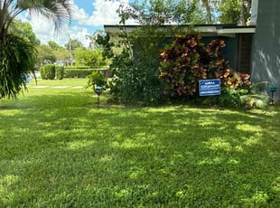 Tyler W.'s lawn care services service result