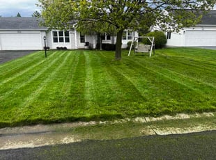 Chriselda F.'s lawn care services service result