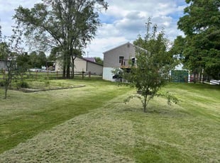 Anne L.'s grass maintenance service result
