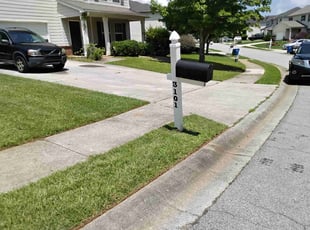 Jordan H.'s lawn care service result