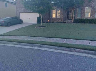 Maria M.'s lawn service service result