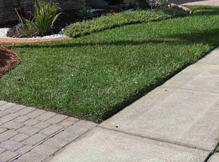Tammy S.'s lawn care services service result