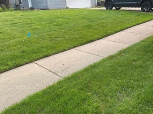 Roy S.'s lawn service service result