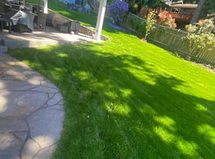 Abdi a.'s turf care service result