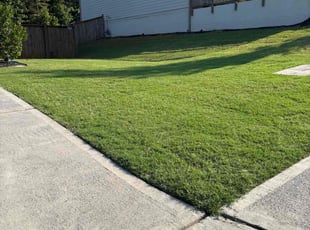 Maria B.'s lawn care services service result