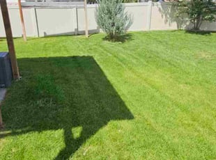 Pat L.'s lawn maintenance service result