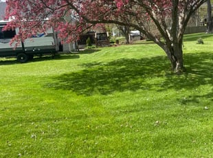 Pamela H.'s grass maintenance service result