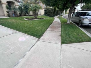 Mariah G.'s lawn care service result