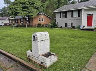 Javonya M.'s grass maintenance service result