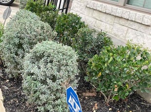 John N.'s grass maintenance service result