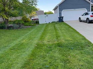 Susan K.'s turf care service result