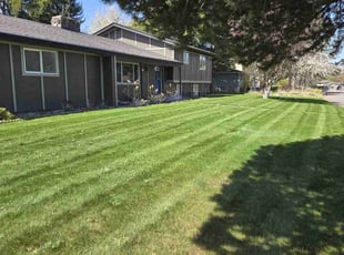 Bill C.'s grass cutting service result