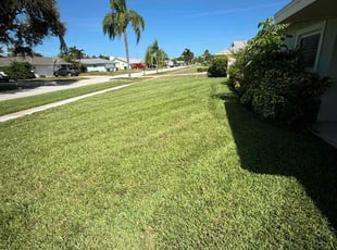Katherine M.'s turf maintenance service result