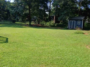 Rachel U.'s lawn maintenance service result