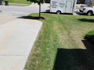 Ann B.'s turf maintenance service result