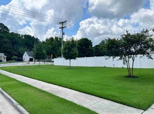Rachel S.'s grass maintenance service result
