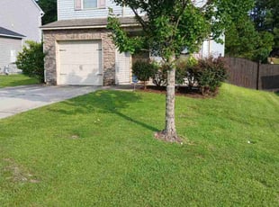 LeeEllen Z.'s lawn care services service result