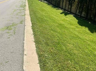 Ken P.'s lawn care service result