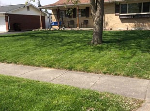 Brieona B.'s lawn service service result