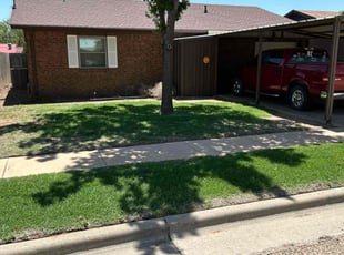 Linda P.'s lawn care service result