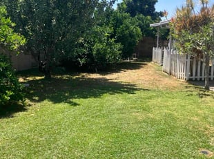 Eric U.'s lawn maintenance service result