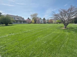 Diane M.'s turf maintenance service result