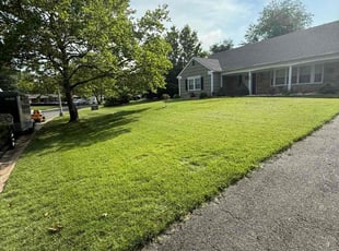 Charles J.'s yard care service result