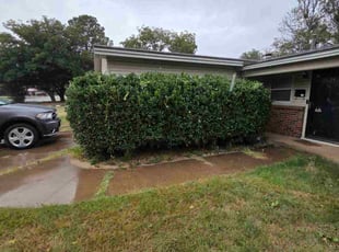 Chris B.'s Bush Trimming service result